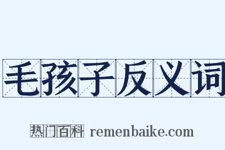 毛孩子反义词是什么意思的图片